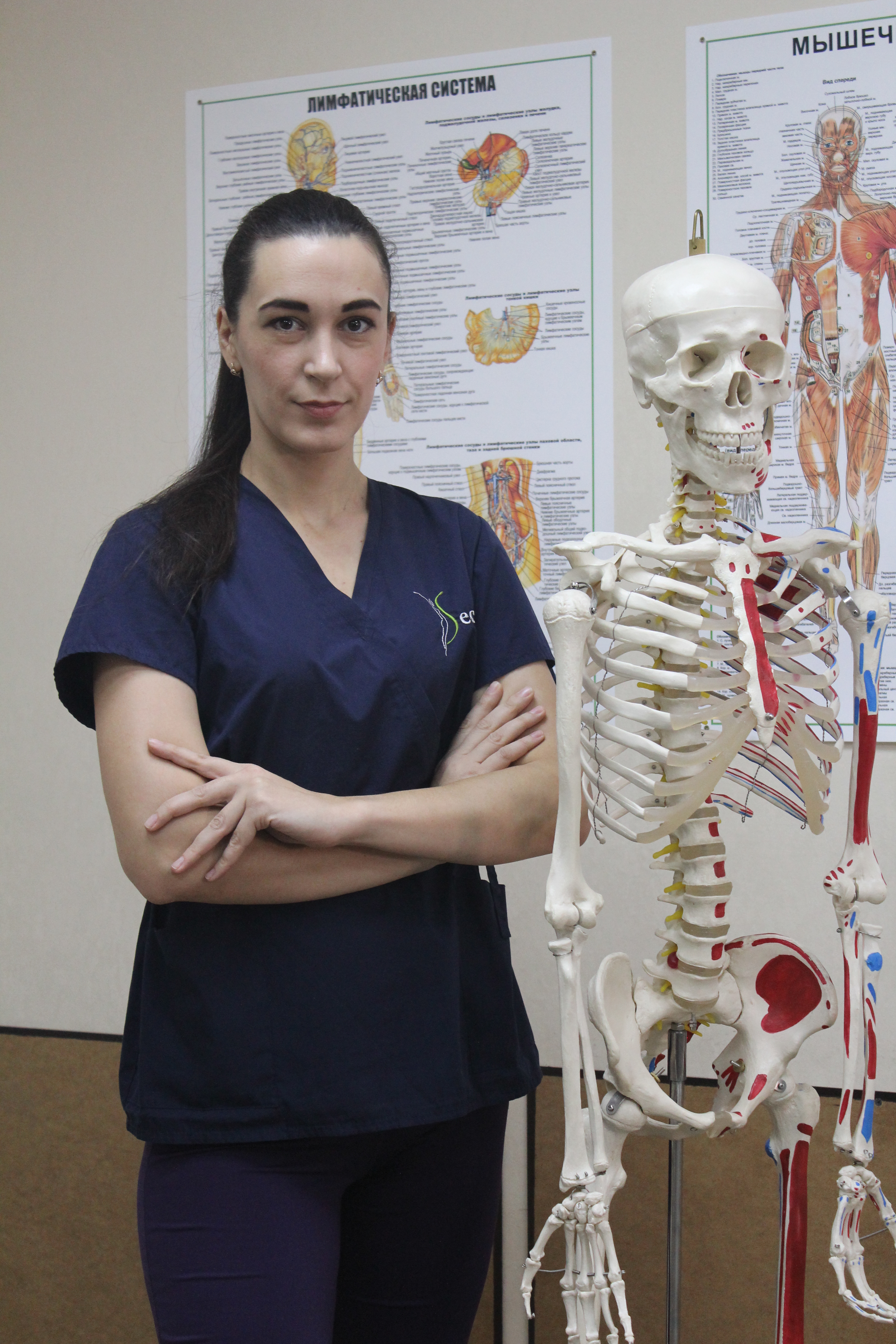 Анатомия – база для массажиста