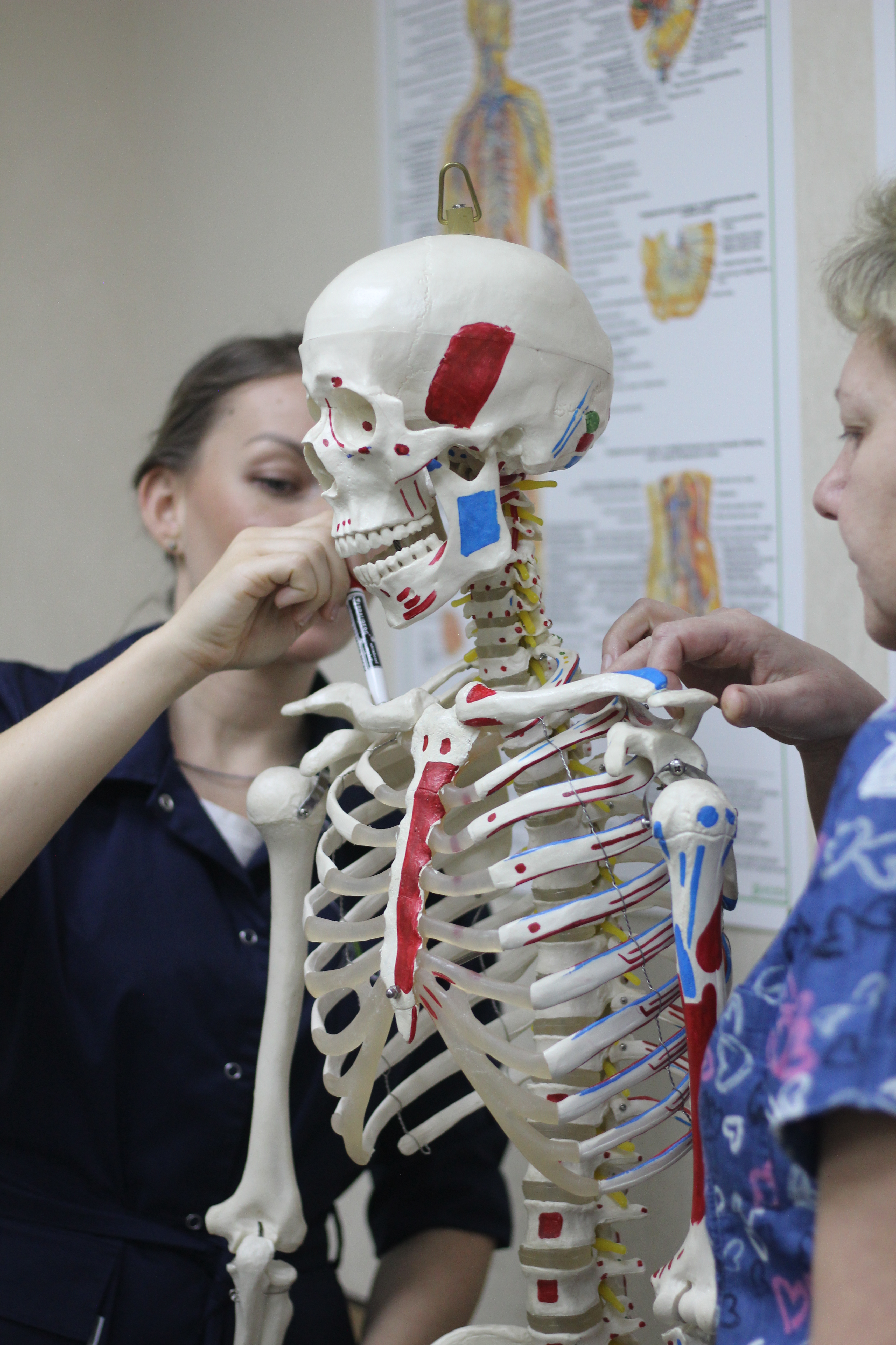 Массаж плюс ЛФК: оптимальное взаимодействие