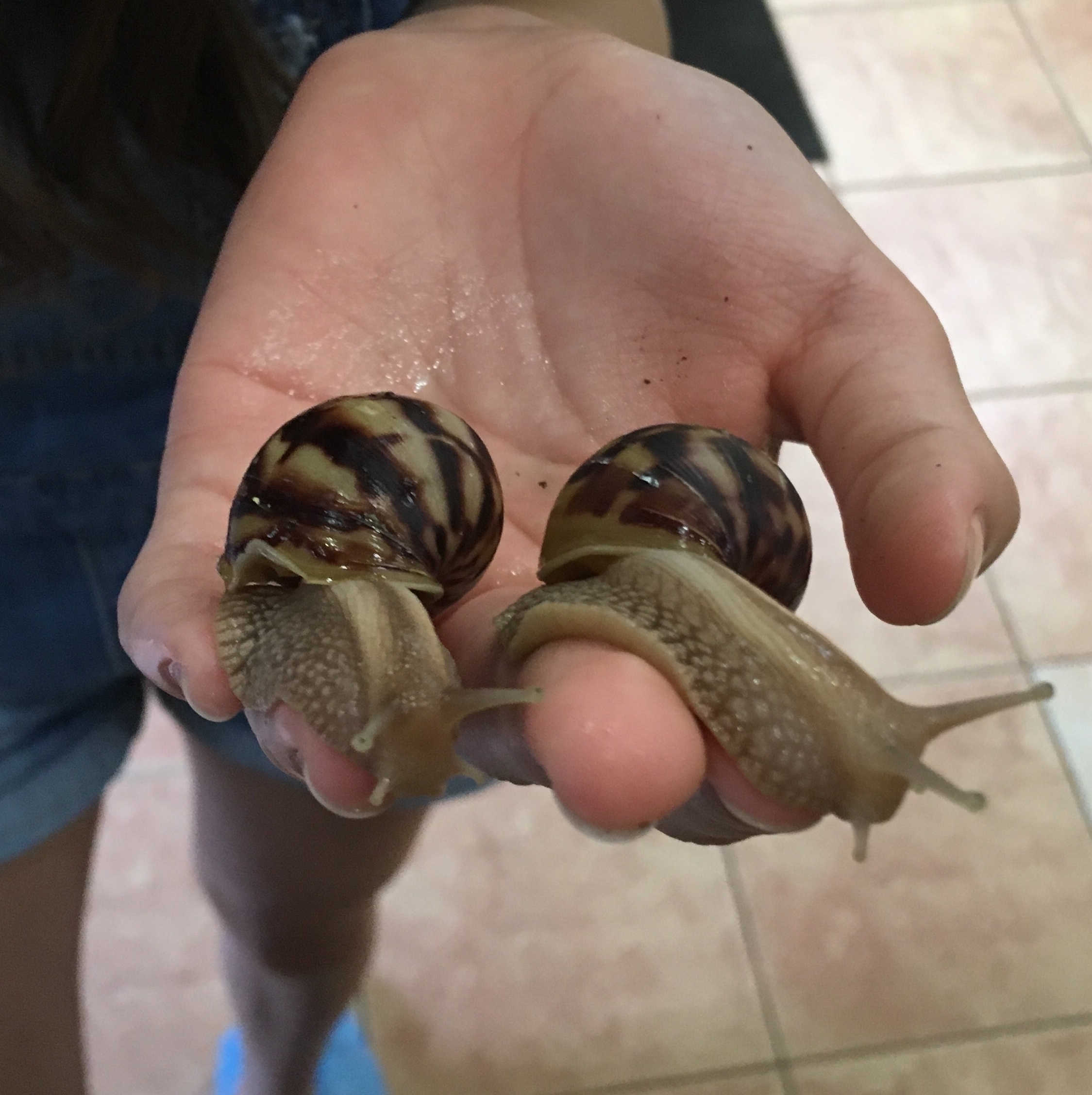 Зарядка для рук массажиста